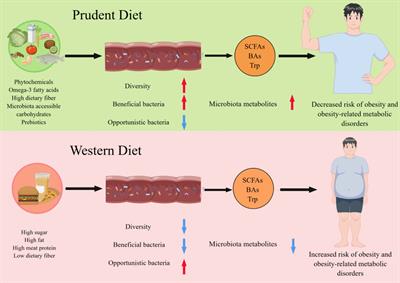 Dietary patterns interfere with gut microbiota to combat obesity